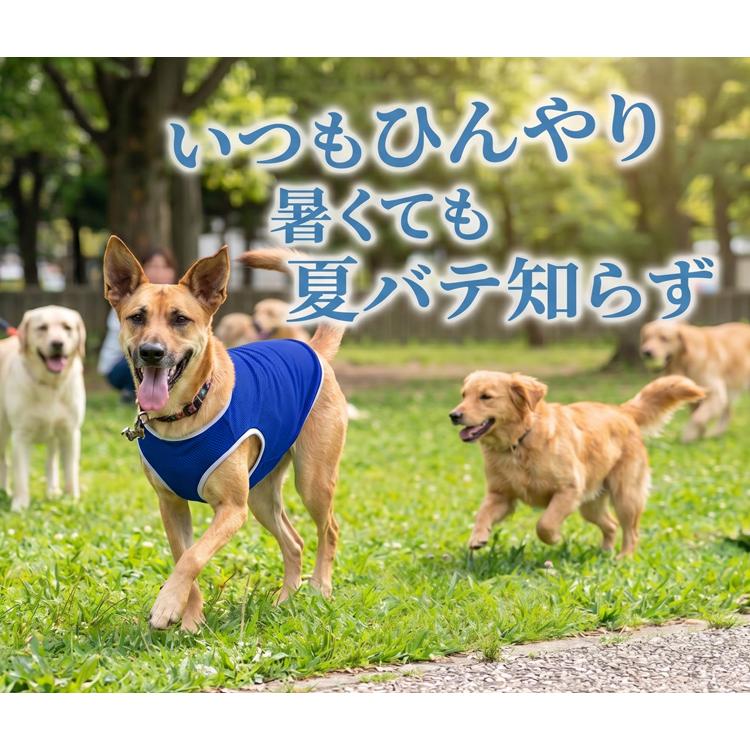犬服 夏 メッシュ タンクトップ FULL COOL 無地 小型犬 冷感 ひんやり