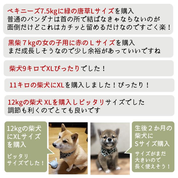 ワンタッチ バンダナ 唐草 ） 犬 猫 模様 緑 赤 グリーン レッド 柄