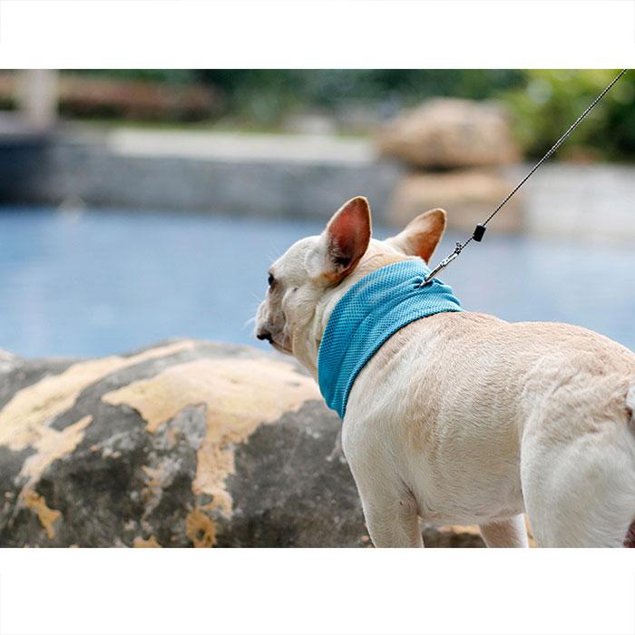 ネッククーラー ブルー 犬 服 春夏 小型犬 ひんやり クール 気化熱 冷却 暑さ対策 Doglemi バンダナ 犬屋 送料無料 Ob 04 犬屋 Yahoo 店 通販 Yahoo ショッピング
