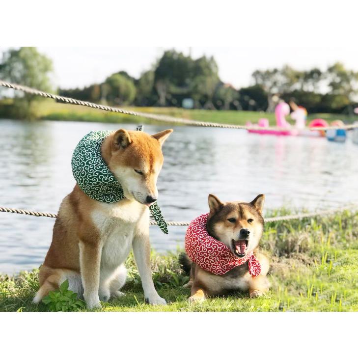 あすつく 泥棒さん首巻き 極太 Ch 唐草模様 唐草レッド クッション 犬 猫 柴犬 小型犬 中型犬 和 アクセサリー バンダナ 首輪 おしゃれ 可愛い 風呂敷 Ob Ch02 犬屋 Yahoo 店 通販 Yahoo ショッピング