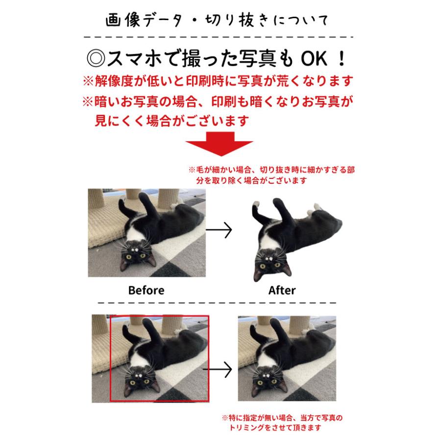 愛猫 写真 名入れ オリジナル プルオーバーパーカー デザイン ） 雑貨