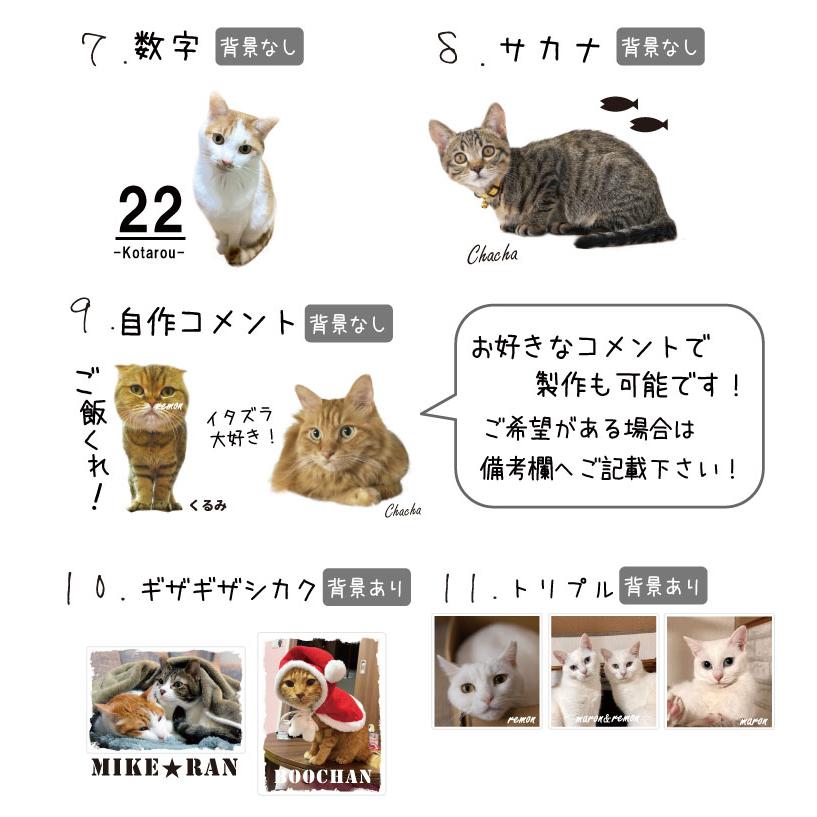 愛猫 写真 名入れ オリジナル ジップパーカー 厚手 裏起毛 デザイン