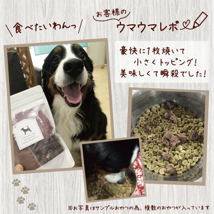 クール便 国産 高級 ダチョウ 冷凍 ミンチ肉 約100g 12 フード おやつ ペット ドッグフード 無添加 犬 低カロリー シニア ギフト 成犬 老犬 高齢 無着色 Ostrich Minced12 犬屋 Yahoo 店 通販 Yahoo ショッピング