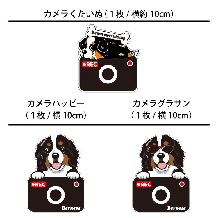 選べる ドッグ ステッカー バーニーズマウンテンドッグ 各種