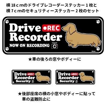 ステッカー （英語)  ドラレコ シルエット セット 大1枚小2枚 ）ダックスフンド （クリーム） 超小型犬 小型犬 中型犬 犬 ドライブレコーダー シール 犬屋 いぬ｜inuya｜02