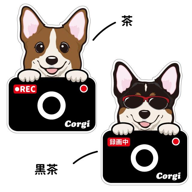 コーギー ステッカー カメラドッグ 犬 犬屋 いぬや ドライブレコーダー 可愛い かわいい 窓 送料無料 おでかけ ドラレコ 防止 あおり運転 セール特別価格 録画 車用