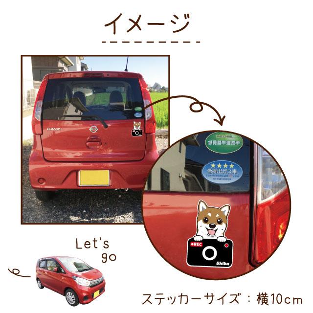 ステッカー （ カメラ ハッピー グラサン ） グレートピレニーズ 犬  ドライブレコーダー かわいい 車用 ドラレコ あおり運転 防止 窓 録画 おでかけ 可愛い 犬｜inuya｜04