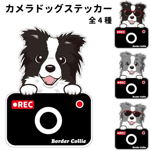 ボーダーコリー ステッカー カメラドッグ 犬 犬屋 いぬや ドライブレコーダー 可愛い かわいい 車用 ドラレコ あおり運転 防止 窓 録画 おでかけ St Kd13 犬屋 Yahoo 店 通販 Yahoo ショッピング