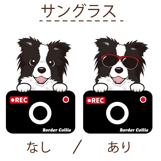 ボーダーコリー ステッカー カメラドッグ 犬 犬屋 いぬや ドライブレコーダー St Kd13 犬屋 Yahoo 店 通販 Yahoo ショッピング