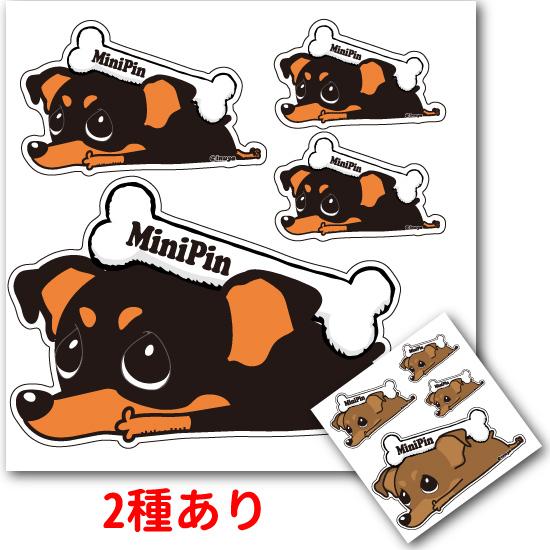 ステッカー （ 「カラー」 くたいぬ ）ミニチュアピンシャー シール 犬