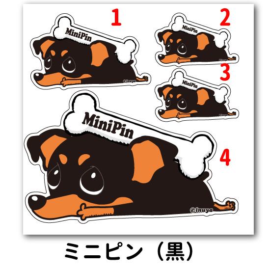 ステッカー （ 「カラー」 くたいぬ ）ミニチュアピンシャー シール 犬