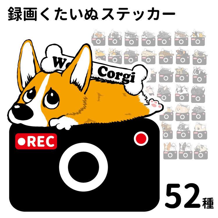 ステッカー （ カメラ くたいぬ  ） 犬 犬屋 いぬや ドライブレコーダー 可愛い かわいい 車用 ドラレコ あおり運転 防止 窓 録画 おでかけ｜inuya