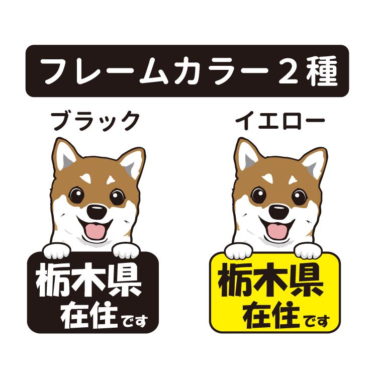 ステッカー 在住 犬アップ 犬 犬屋 いぬや 他県 車 ナンバー ４７都道府県 オリジナル 地元 防犯 主張 可愛い 対策 柴犬 コーギー チワワ プードル ダックス St Zj02 犬屋 Yahoo 店 通販 Yahoo ショッピング