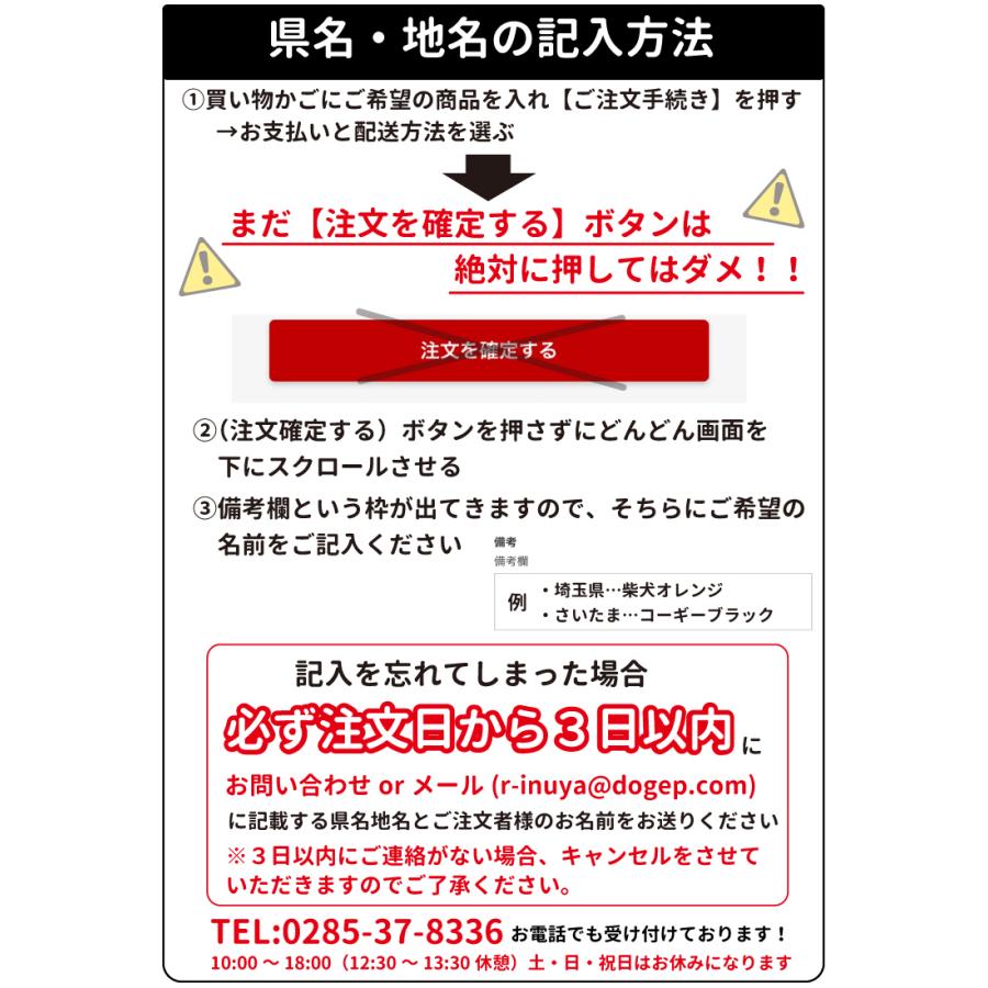 ステッカー 在住 犬アップ 犬 犬屋 いぬや 他県 車 ナンバー ４７都道府県 オリジナル 地元 防犯 主張 可愛い 対策 柴犬 コーギー チワワ プードル ダックス St Zj02 犬屋 Yahoo 店 通販 Yahoo ショッピング