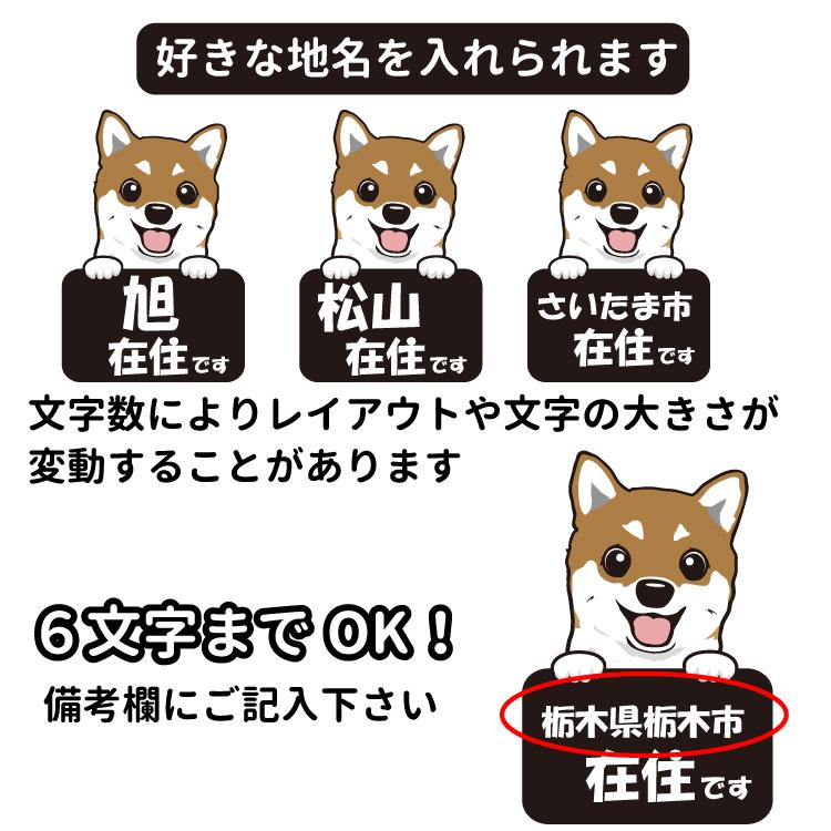 ステッカー 在住 犬アップ 犬 犬屋 いぬや 他県 車 ナンバー ４７都道府県 オリジナル 地元 防犯 主張 可愛い 対策 柴犬 コーギー チワワ プードル ダックス St Zj02 犬屋 Yahoo 店 通販 Yahoo ショッピング