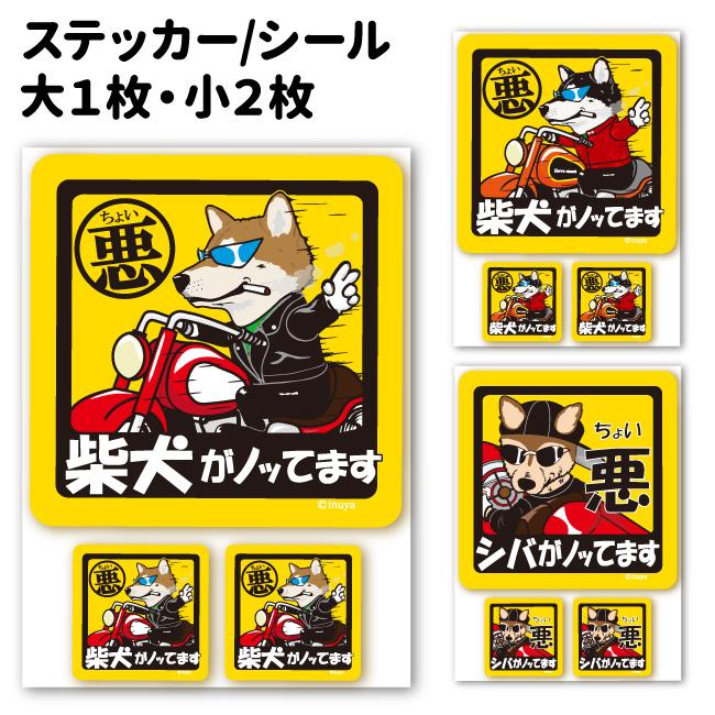 ステッカー （ ちょい悪 正方形 セット 大1枚小2枚 ） 柴犬 小型犬 車