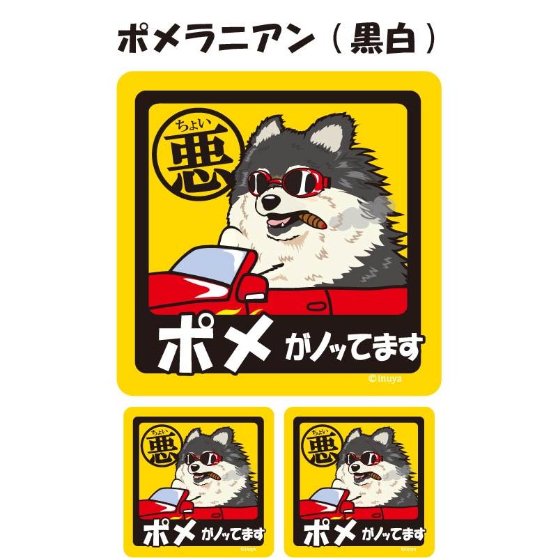 ステッカー （ ちょい悪 正方形 セット 大1枚小2枚 ） ポメラニアン 超