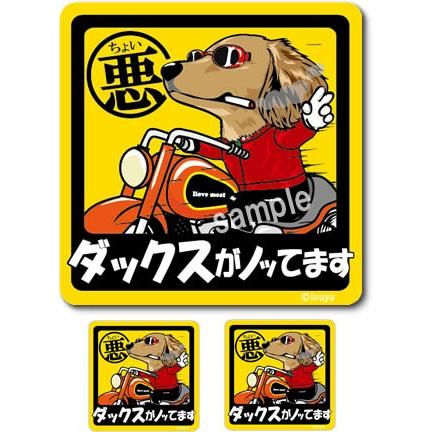 ステッカー （ ちょい悪 正方形 セット 大1枚小2枚 ）ダックス ダックスフンド 超小型犬 小型犬 中型犬 車 犬屋 いぬや｜inuya｜02