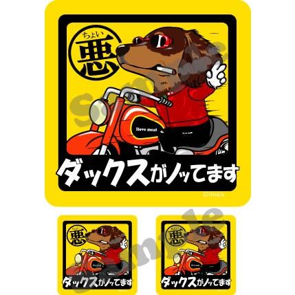 ステッカー （ ちょい悪 正方形 セット 大1枚小2枚 ）ダックス ダックスフンド 超小型犬 小型犬 中型犬 車 犬屋 いぬや｜inuya｜05