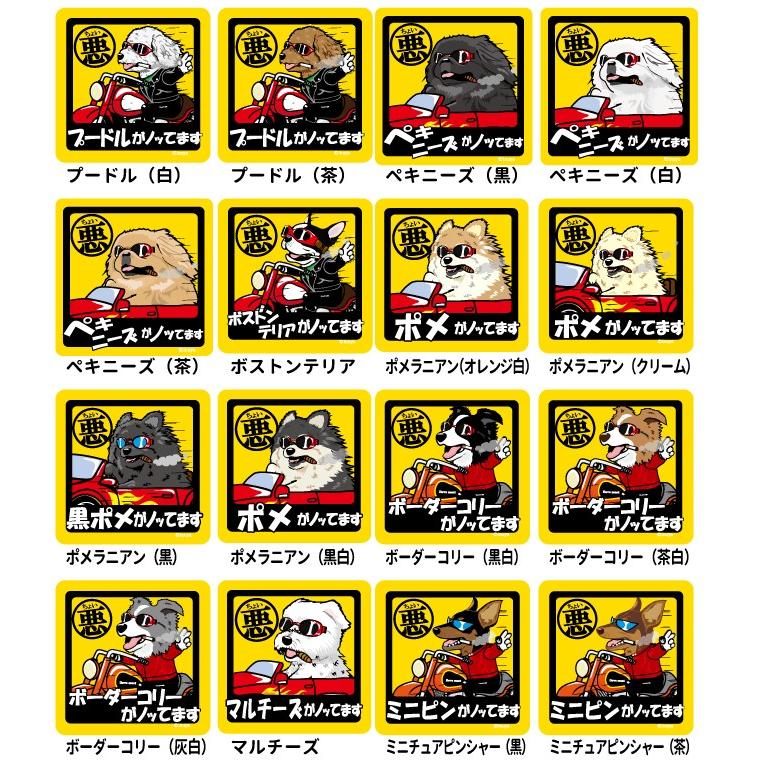 野良犬軍団のステッカー 名入れ ちょい悪犬 デザイン ステッカー 6枚セット） : 犬屋 Yahoo!店