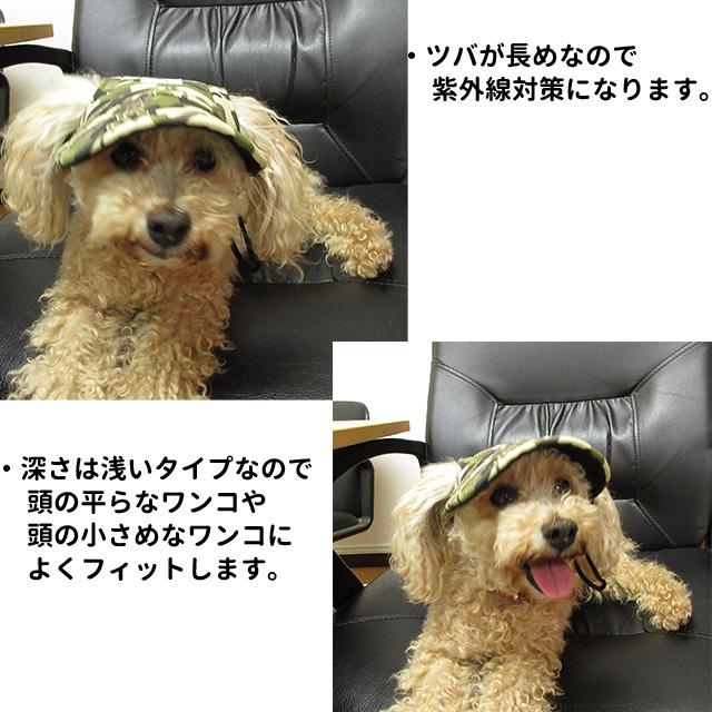犬 猫 小型犬 キャップ TAIL UP 帽子 ハット かぶりもの
