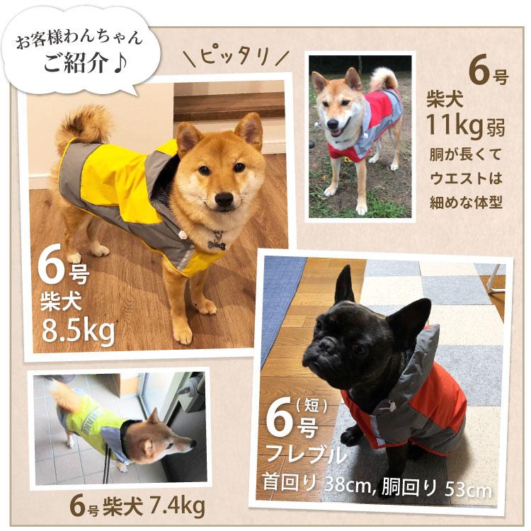 （ 名入れ ） 犬 イージー レインコート オリジナル 中型犬 大型犬 レインウェア 雨具 カッパ ドッグ ドッグウェア 着せやすい 犬服 ( 柴犬 フレンチブルドッグ｜inuya｜11