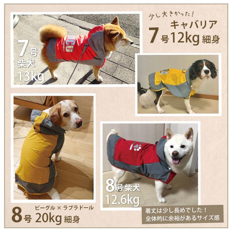 （ 名入れ ） 犬 イージー レインコート オリジナル 中型犬 大型犬 レインウェア 雨具 カッパ ドッグ ドッグウェア 着せやすい 犬服 ( 柴犬 フレンチブルドッグ｜inuya｜12