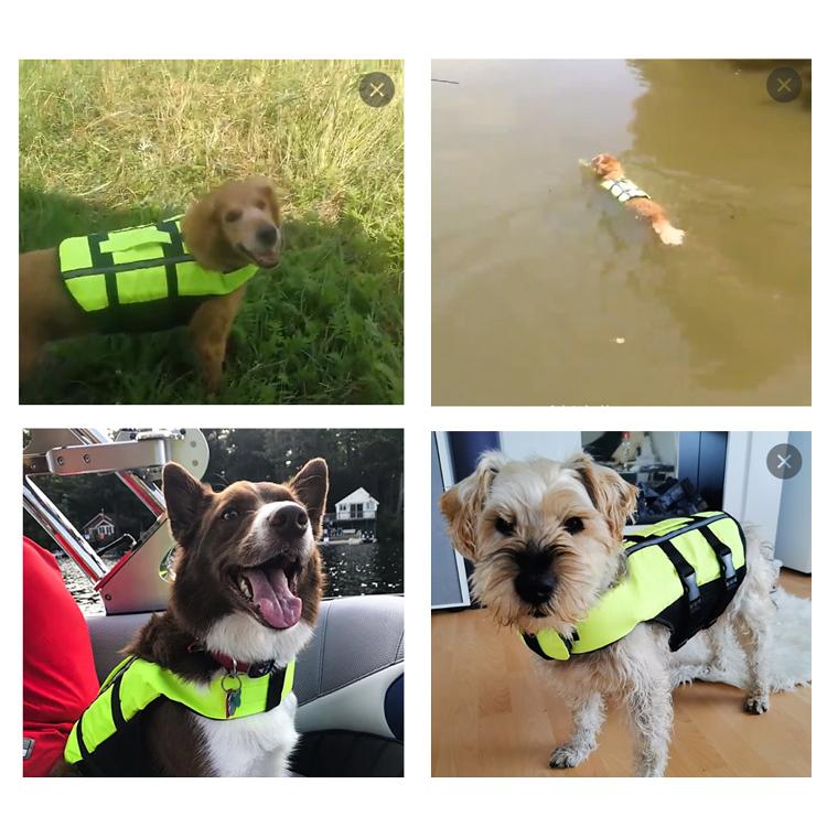 犬 ライフジャケット 小型犬用 （ S ） 安心 安全 水遊び 海 川 水害