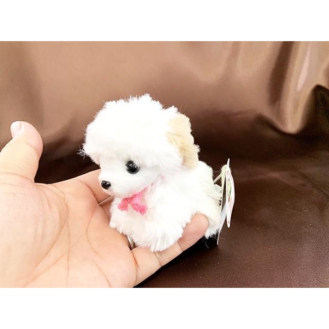 ぬいぐるみ 犬 キャンディーフォンテーヌ トイプードル 白 438 お座りドッグ 高さ 8から9cm 犬屋 Zn 065 犬屋 Yahoo 店 通販 Yahoo ショッピング