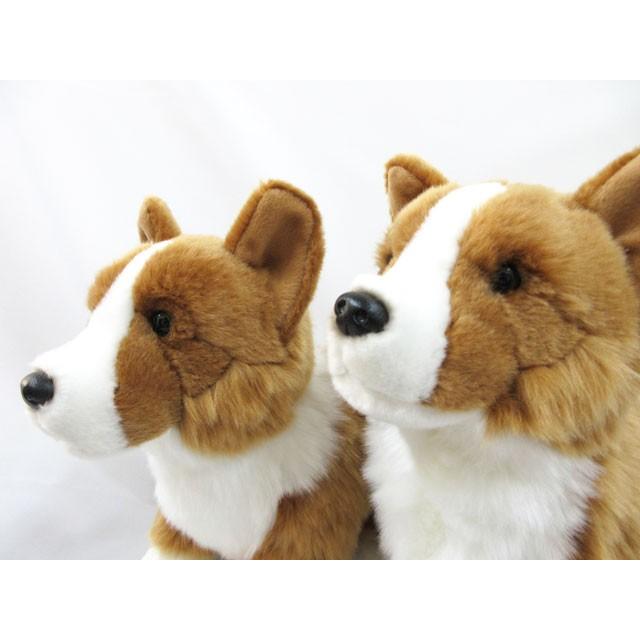 コーギー　ぬいぐるみ Amazon.co.jp: Douglas Konner 3色コーギー犬のぬいぐるみ