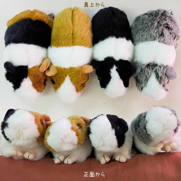 犬 リアル モルモット ぬいぐるみ 3種 ラッピング 雑貨 グッズ
