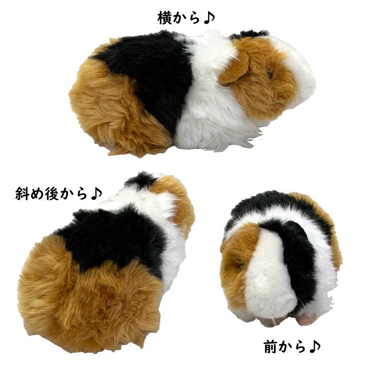 犬 リアル モルモット ぬいぐるみ 3種 ラッピング 雑貨 グッズ