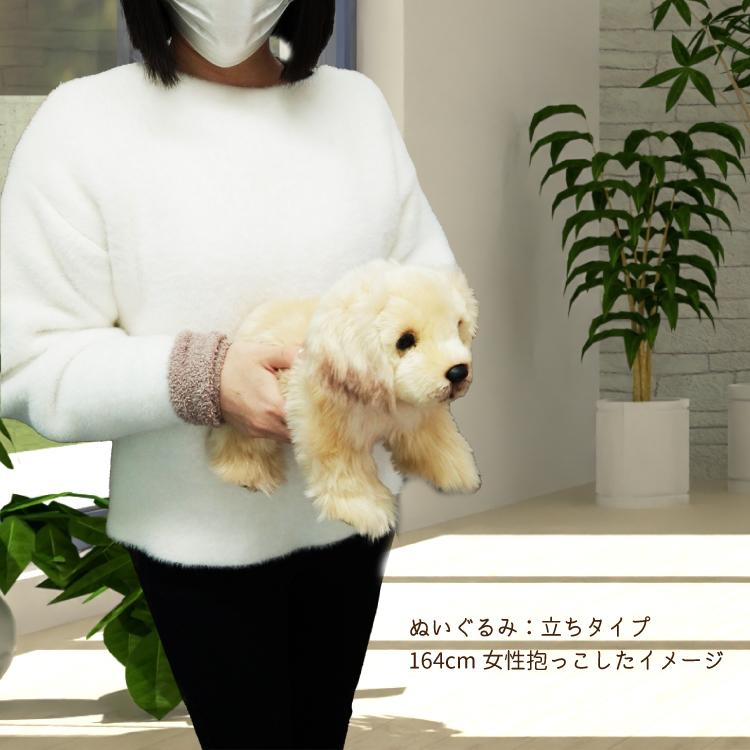 ゴールデンレトリバー 2種 ぬいぐるみ お座り 立ち 犬 おもちゃ 雑貨