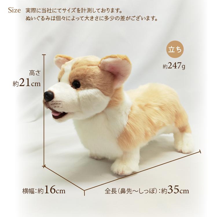 コーギー 立ち ぬいぐるみ 犬 おもちゃ 茶 白 雑貨 グッズ 卒業祝 入学
