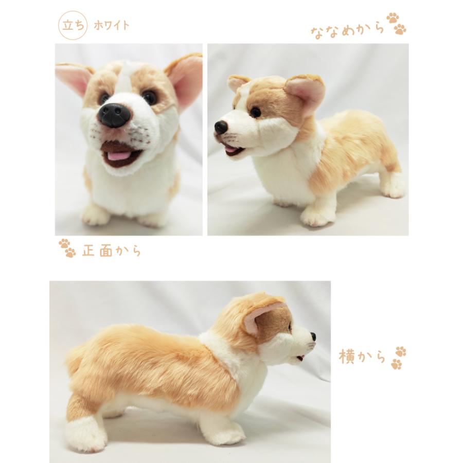 コーギー 立ち ぬいぐるみ 犬 おもちゃ 茶 白 雑貨 グッズ 卒業祝 入学
