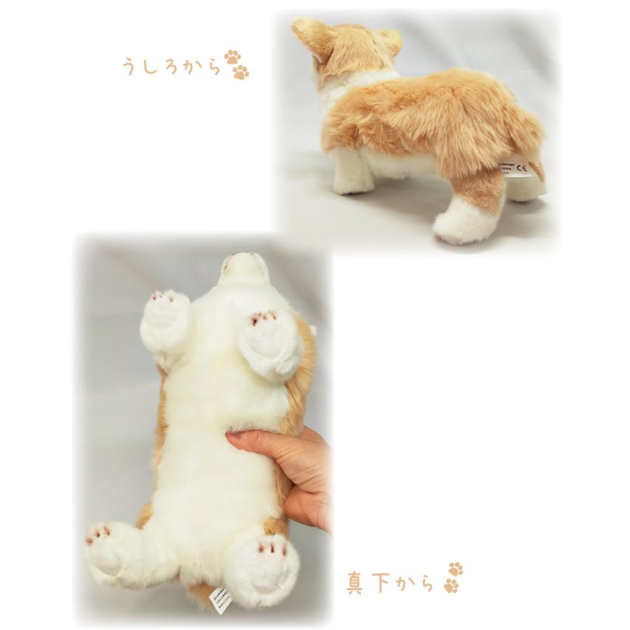 コーギー ぬいぐるみ 立ちポーズ 茶白 犬雑貨 ギフト 犬屋 Inuya Plus