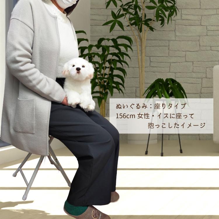 マルチーズ 座り ぬいぐるみ） 犬 おもちゃ 白犬 雑貨 グッズ 卒業祝