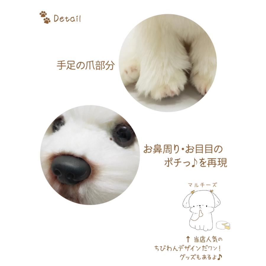 マルチーズ 座り ぬいぐるみ） 犬 おもちゃ 白犬 雑貨 グッズ 卒業祝