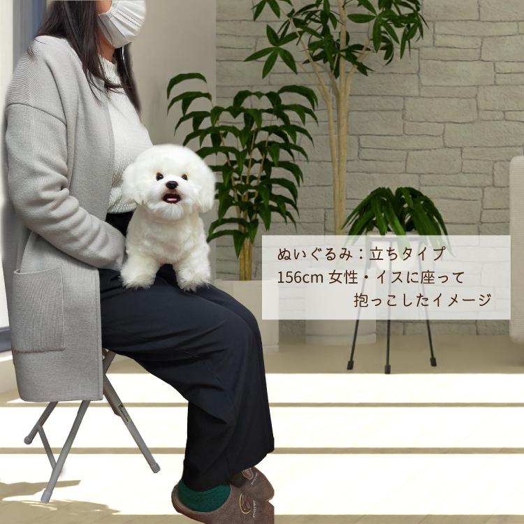 ビションフリーゼ ぬいぐるみ） 犬 おもちゃ 雑貨 グッズ 白い犬