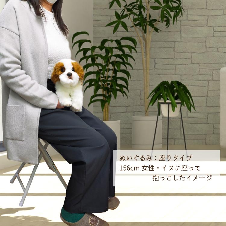 シーズー 茶白 ぬいぐるみ） 犬 おもちゃ 雑貨 グッズ 卒業祝 入学祝