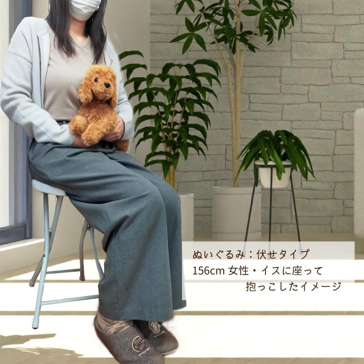 プードル レッド ぬいぐるみ 茶 アプリコット 犬 おもちゃ 雑貨 グッズ