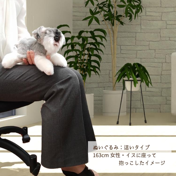 ミニチュアシュナウザー ぬいぐるみ グレー 伏せポーズ 犬雑貨 ギフト