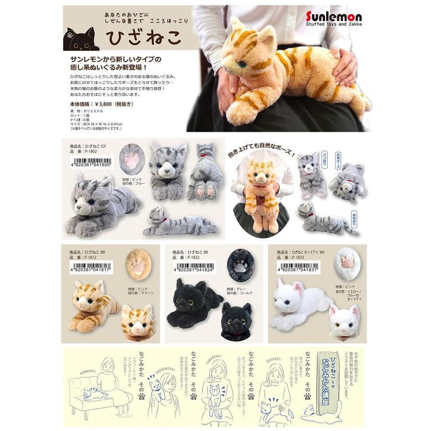 ひざねこ Mサイズ 白猫 猫 ぬいぐるみ 白猫 サンレモン 雑貨 Zn San C13 犬屋 Yahoo 店 通販 Yahoo ショッピング