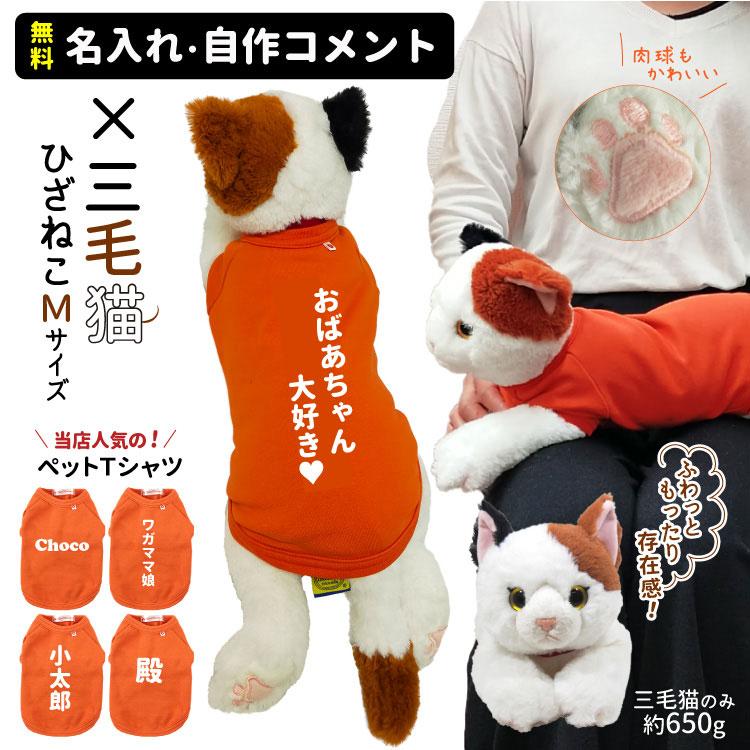 無料 名入れ ） ぬいぐるみ 三毛猫 猫服着用 クリスマス 大人気