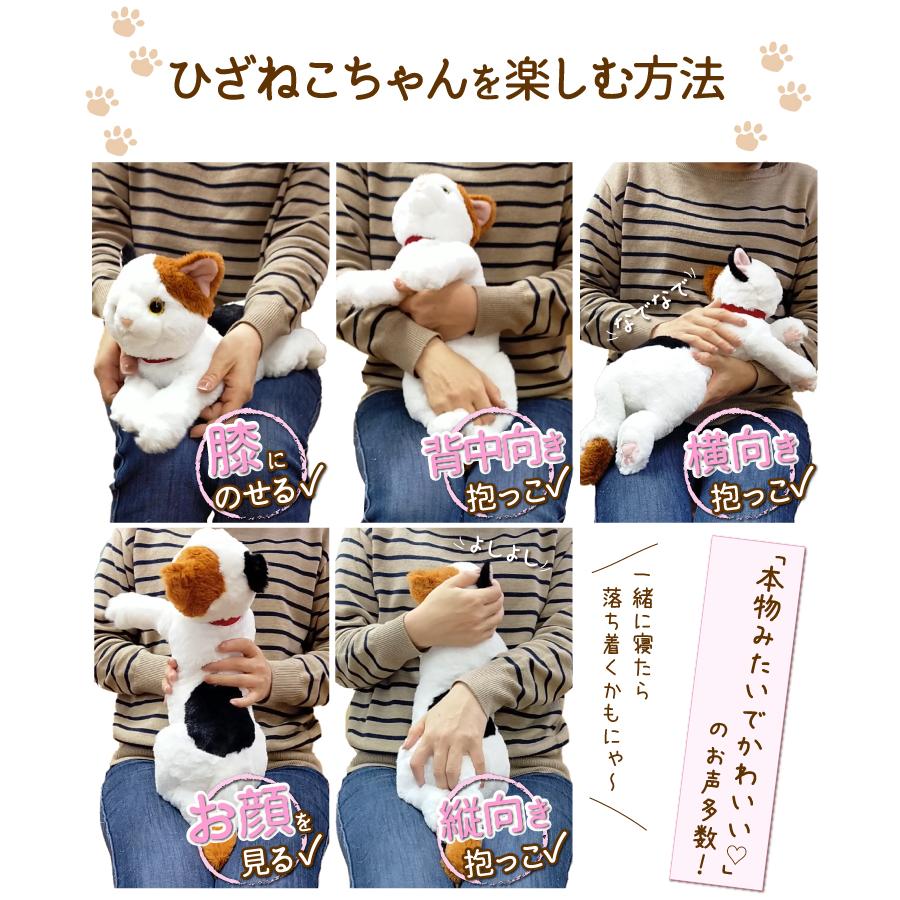 無料 名入れ ） ぬいぐるみ 三毛猫 猫服着用 クリスマス 大人気