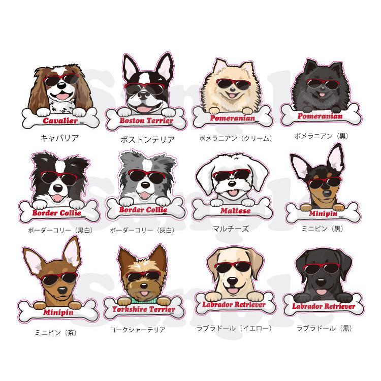 名前入れ グラサン トートバッグ Sサイズ 犬屋 いぬや キャンバス 犬 柄 雑貨 グッズ お散歩バッグ ギフト プレゼント イラスト コーギー 柴犬 ポメラニア Zt Cabs Gs 犬屋 Yahoo 店 通販 Yahoo ショッピング