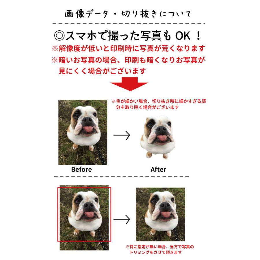 （ 愛犬 写真 オリジナル トートバッグ Sサイズ ） CAB1543 名前入れ いぬや キャンバス 犬 柄 雑貨 グッズ お散歩バッグ お誕生日 プレゼント メモリアル 愛猫｜inuya｜05