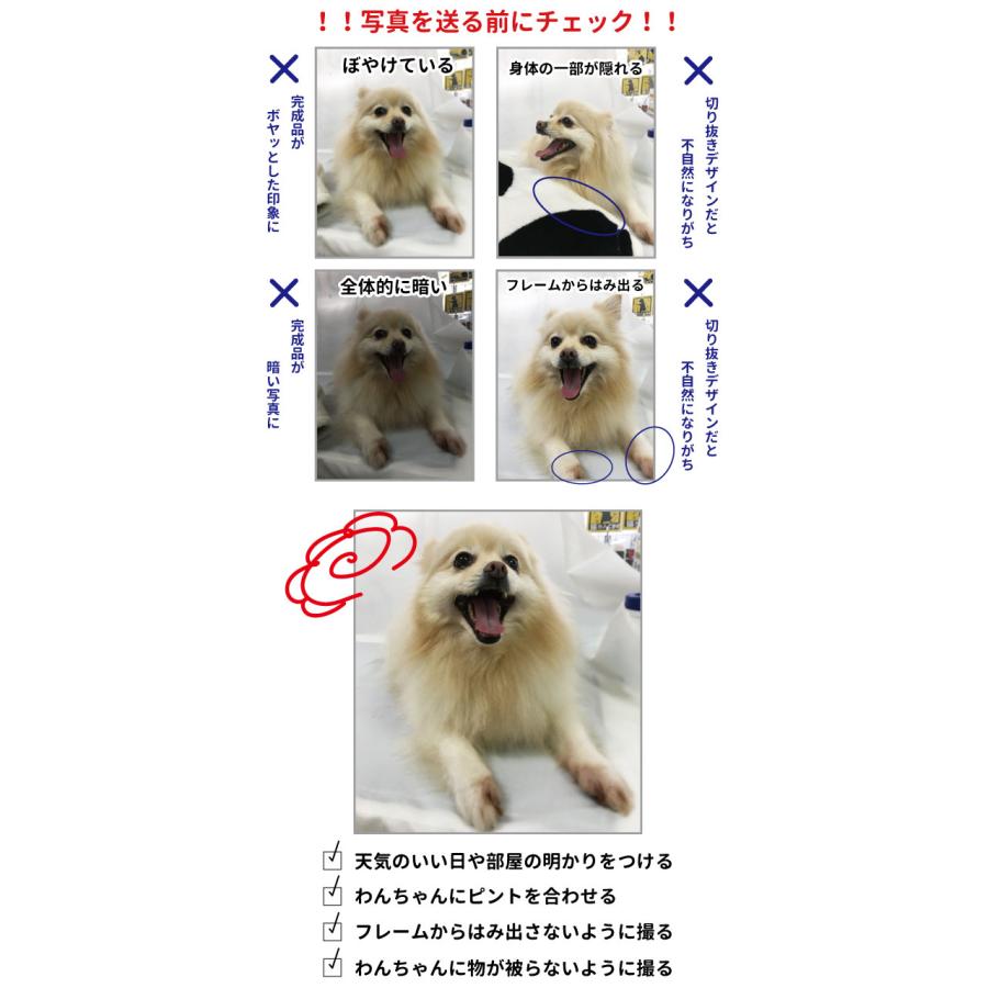 （ 愛犬 写真 名入れ 肩ひも付き 新トートバッグ Ｍサイズ ） ファスナー付き 名前入れ オリジナル キャンバス 犬 柄 雑貨 グッズ お散歩バッグ お誕生日 プレゼ_5