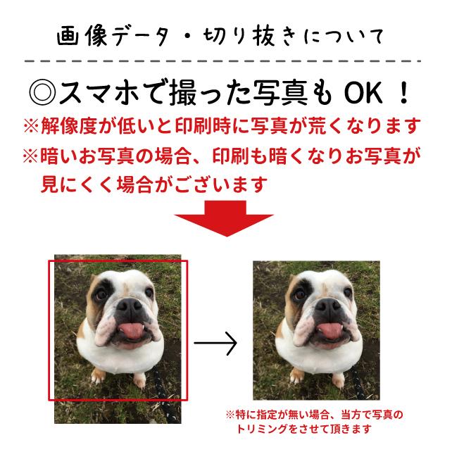 （ 愛犬 写真 フレーム 肩ひも付き 新トートバッグ Ｓサイズ ） 名前入れ  オリジナル いぬや 名入れ キャンバス 犬 雑貨 グッズ お散歩バッグ お誕生日 プレゼ｜inuya｜08