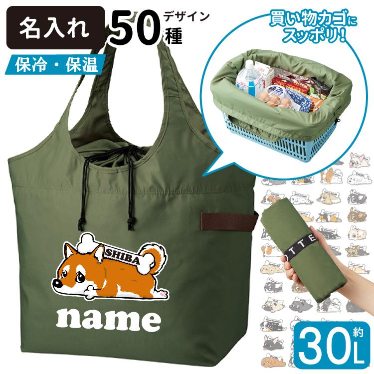 名入れ 保冷 保温 エコバッグ 巾着タイプ （大容量30L） 「カラー」く